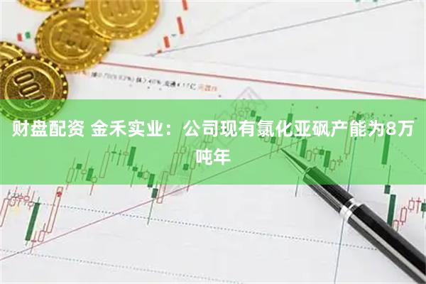 财盘配资 金禾实业：公司现有氯化亚砜产能为8万吨年